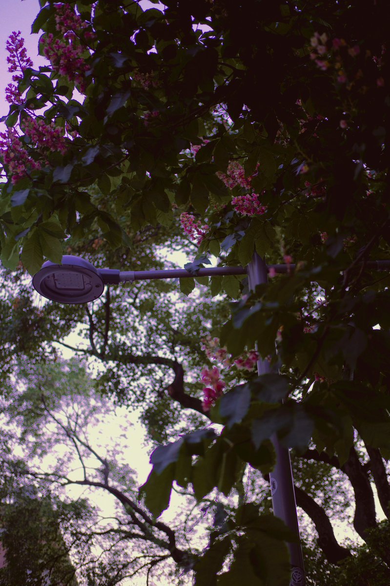 stani_film (@stanislavcekan) on Twitter photo 
