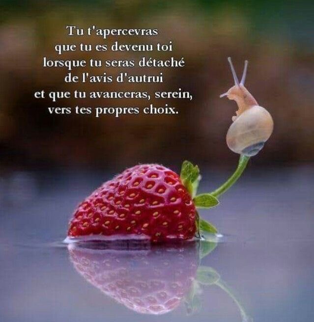 gerborahm♦️ tweet media