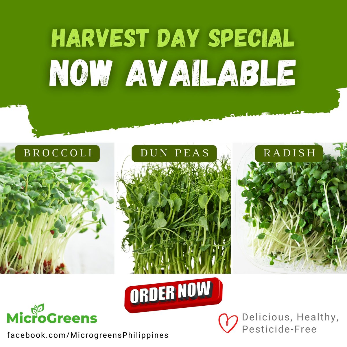 MicroGreensPH's tweet photo. GET YOUR FRESH-HARVEST GREENS BEFORE IT RUNS OUT

✦✦✦ NOW AVAILABLE! ✦✦✦
👉 Message us to Order!
 
Harvested 1 Hour Before Delivery! 
🥗 Broccoli Microgreens
🥗 Dun Peas Microgreens
🥗 Radish Microgreens
Eat Healthy, Stay Healthy!

Visit us:
https://t.co/SqgEtArpeY https://t.co/2nOz8Eo8aY