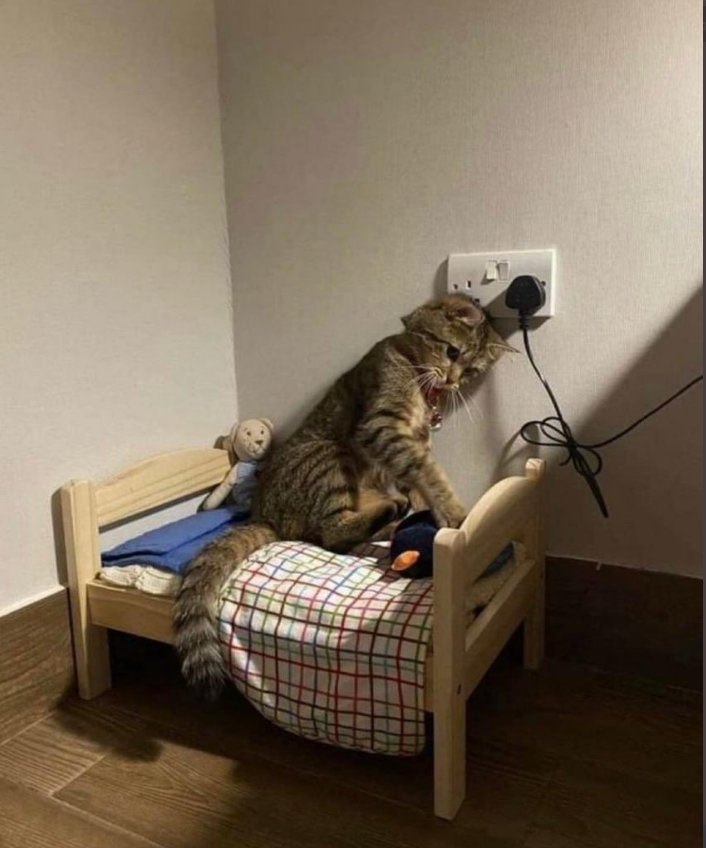 ปันเปย (@slashjrxsunoo) on Twitter photo 