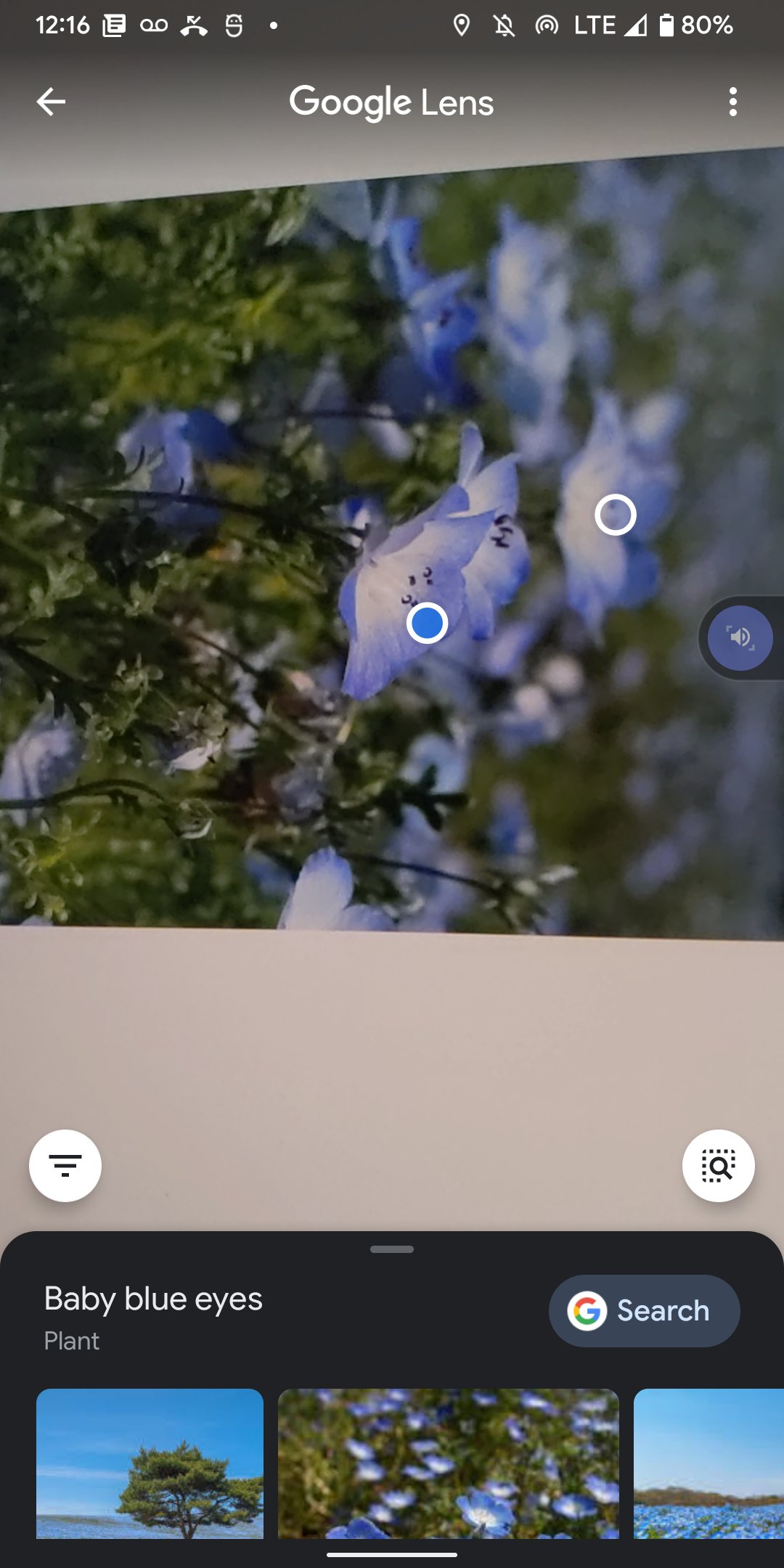تويتر ブロギングライフ على تويتر Kyrietoast ある方のブログ記事を拝見して その記事に掲載されている花の写真について質問したところ お返事を頂きました 冒頭の部分を引用させて頂きます 青い花はネモフィラといいます これと芝桜のお花畑をgwに見に行き
