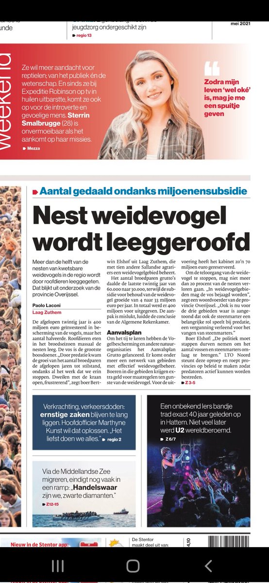 gravenweg14a's tweet photo. Er zit iets goed mis,We laten de vos die in heel Europa veelvuldig voorkomt onze ernstig bedreigde nationale vogel die voor 80% in Nederland broedt uitroeien https://t.co/iiW4u27jtZ