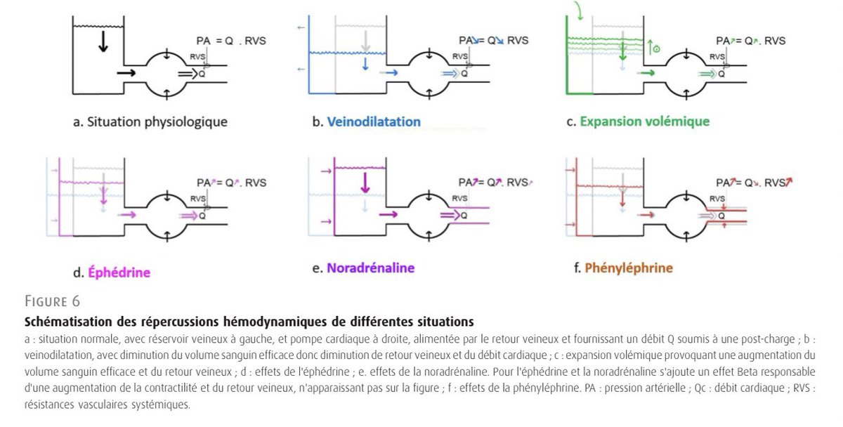 ANREA_Journal tweet media
