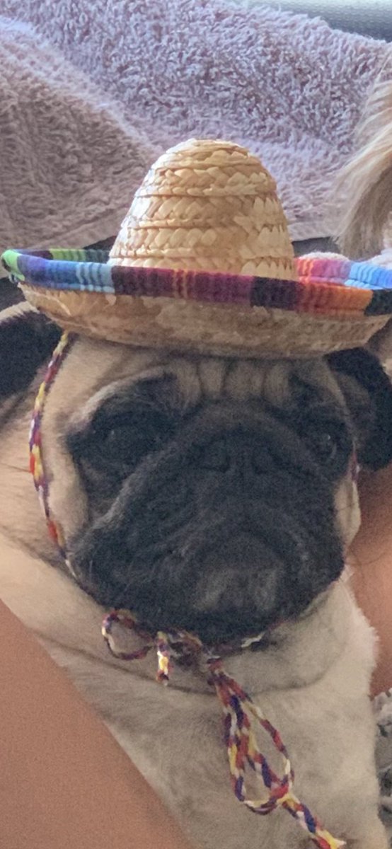 houhowzitufakas's tweet photo. “what do you mean you don’t do $1 margs anymore?” https://t.co/ZQD5r6EVLn