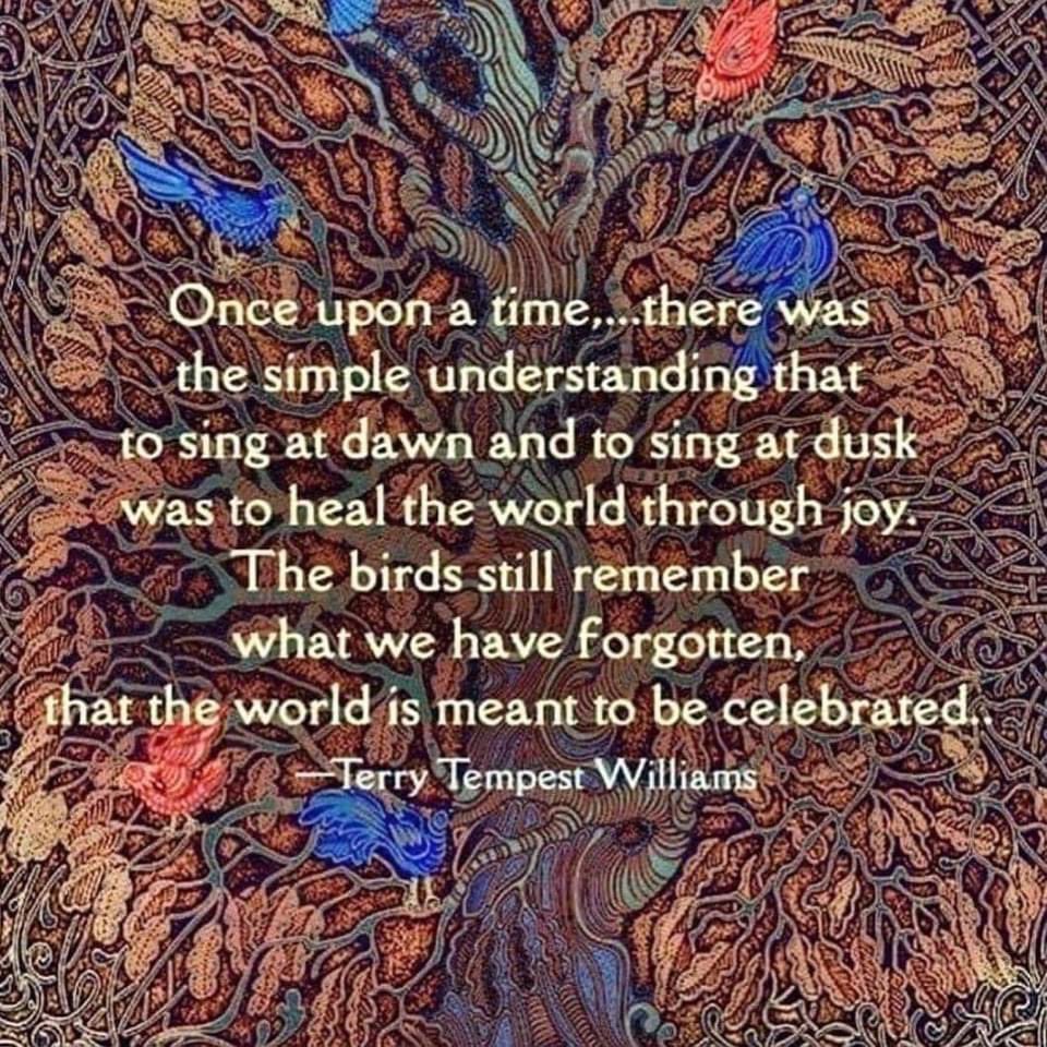 SelineSigil9's tweet photo. ✨💫🌱🍃 https://t.co/wo9bm7xnpI