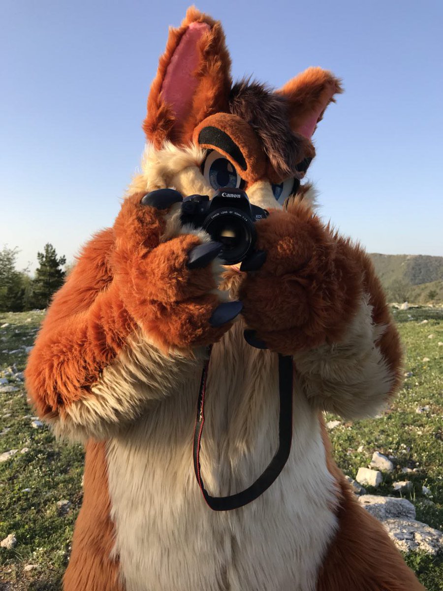 Chubby Fox Memories 🦊🐱🇮🇹 🔜 Furizon Polaris tweet media