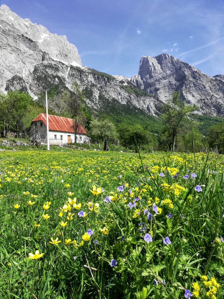 VagaBobTravel's tweet photo. 𝘛𝘩𝘦 𝘮𝘰𝘶𝘯𝘵𝘢𝘪𝘯𝘴 𝘢𝘳𝘦 𝙨𝙝𝙤𝙪𝙩𝙞𝙣𝙜...
.... 𝘢𝘯𝘥 𝘐 𝘮𝘶𝘴𝘵 𝘨𝘰 👣
.
𝗶𝗻𝗱𝗲𝘀𝗰𝗿𝗶𝗯𝗮𝗯𝗹𝗲 mountain splendour
of #ThethNationalPark in the 
#AlbanianAlps 🤩
aka #accursedmountains 
.
#explore_discover_Experience #Wanderlust #CarpeDiem https://t.co/GS64PMYbnq