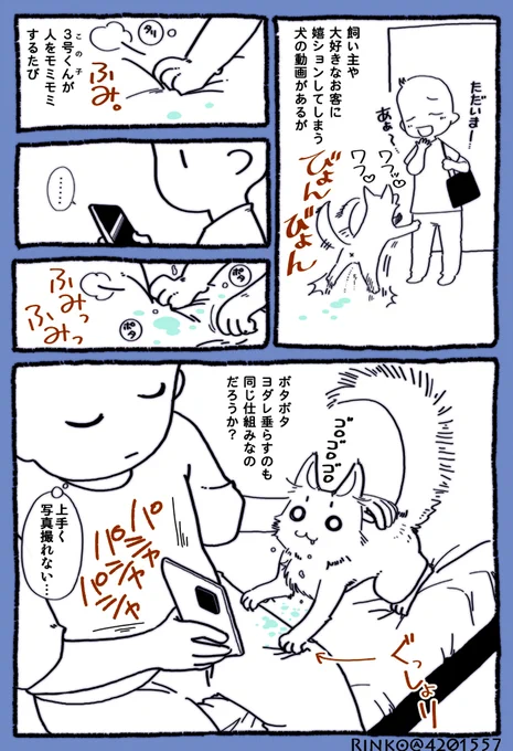 毎朝写真撮ろうとして失敗してる。残念。

嬉ダレ 