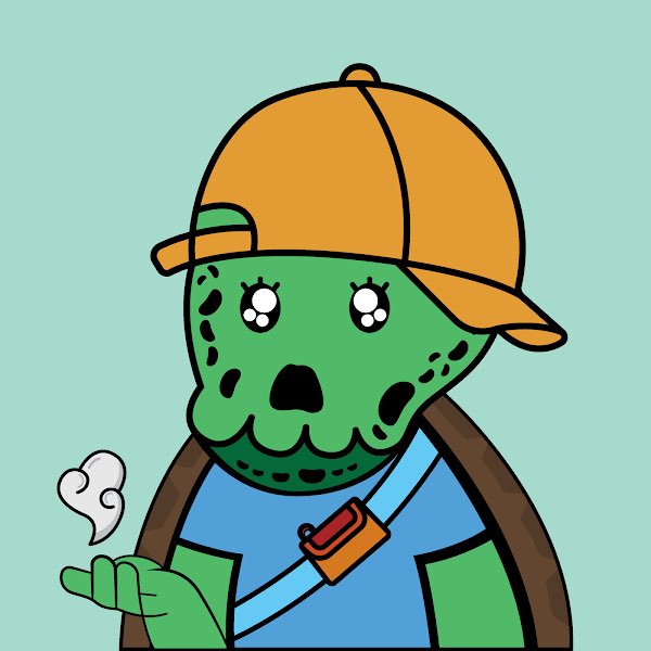 TurtleMories's tweet photo. TurtleMories #324 Sold

#NFTCommunity #NFTCollection #NFTsales https://t.co/yP4AmzNMub