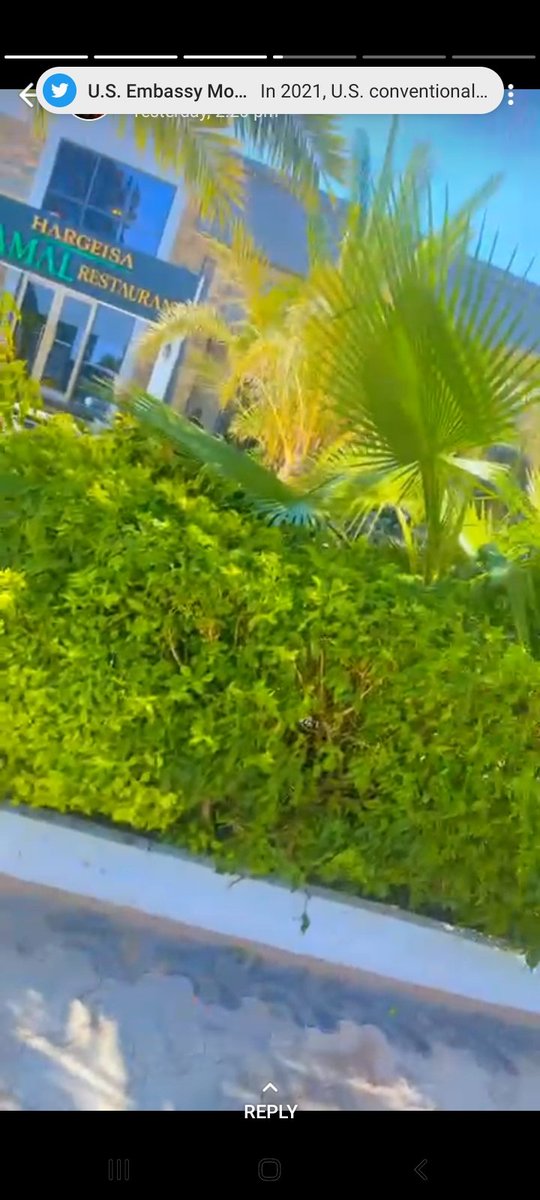 Action Media (@media_action) on Twitter photo 