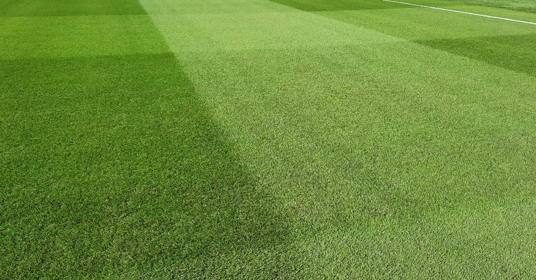 Taylor76Nigel's tweet photo. 2 weeks after the last game we hosted for the AFC Group I leg, we are back in action for the domestic league. Field has recovered really well from the 12 usages over the 16 days of the event #sportsturfmanagement #zeonzoysia @STSAsia
@bladerunnerfarm @FloratineFoliar https://t.co/AwYVplIMGI
