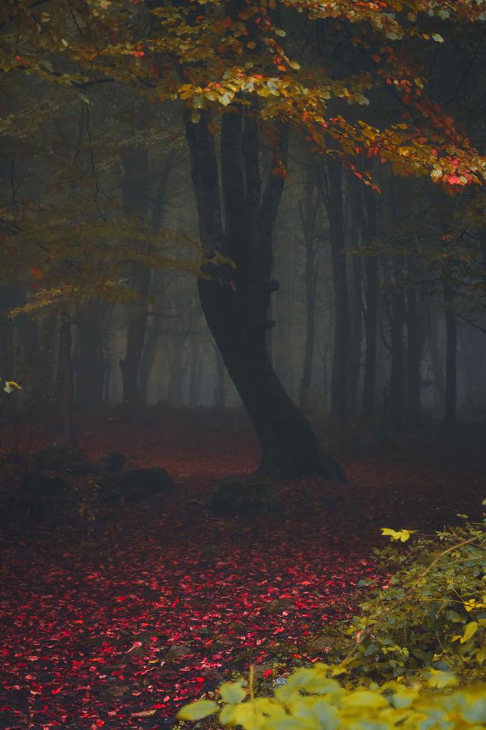 Gm fam! Wish you a great day🌄
Here is "Through the Darkness" belongs to <a href="/AlphaTrilogy/">AlphaTrilogy</a> 🍁