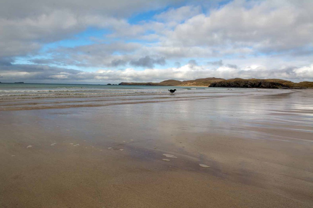 D_Houston's tweet photo. Balnakeil Beach
A wonderful spot for a beach walk &amp; swim, perhaps a puffin sighting or a game of golf @DurnessGolfClub overlooking the beach.  Breezily beautiful &amp; a great hot chocolate @cocoamountain afterwards. Check it out on the map.
🐾👣😊 https://t.co/KffYMKkFHD