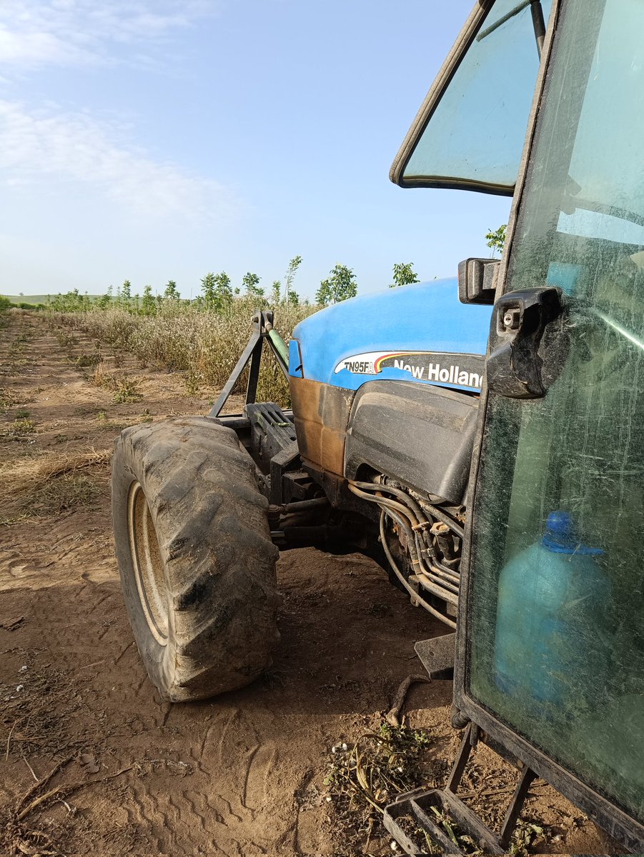 Almudenacl22's tweet photo. No se para 🚜🙌 https://t.co/a7httrLAHz