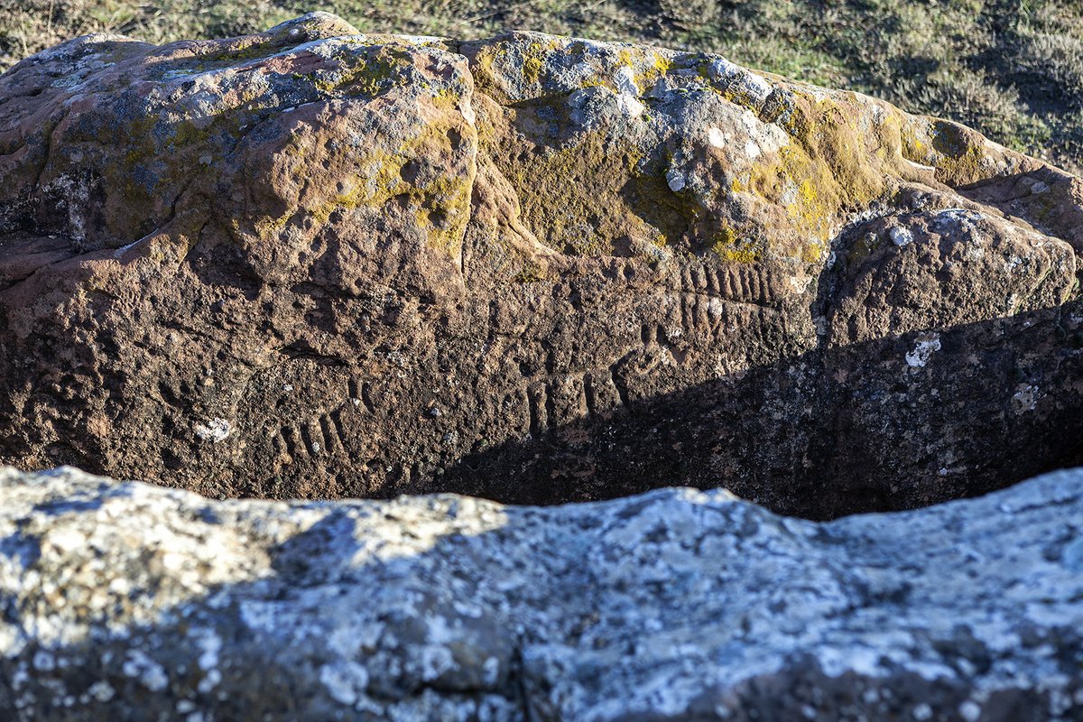 Businirmaslejos's tweet photo. DOLMEN DE CUBILLEJO/MAZARIEGOS
A menos de 3 km de Cubillejo de Lara, en pleno #CaminodeCid, se descubren los restos de este monumento funerario levantado hace más de 5.000 años. Prototipo de sepulcro megalítico de corredor, conserva una serie de interesantes grabados rupestres. https://t.co/xJIsPQb6vT