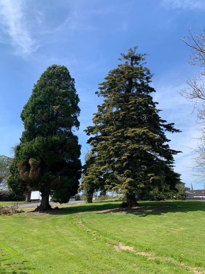 Eureka House &amp; Gardens open from 8:30
This Saturday morning