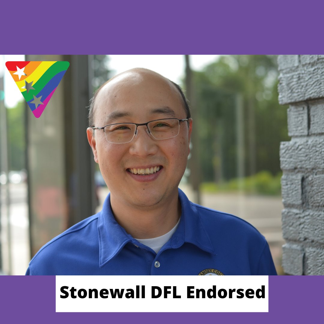 StonewallDFL photo