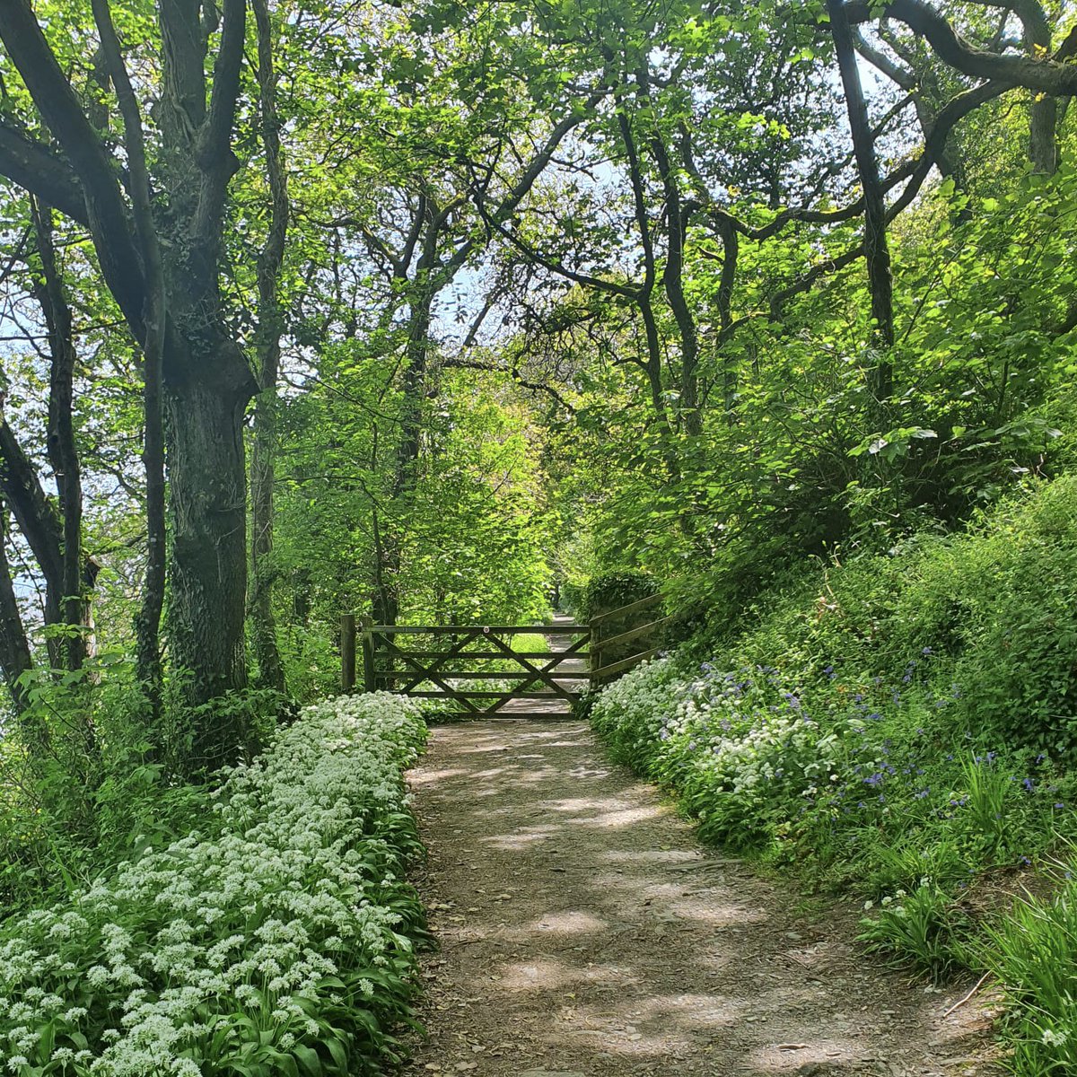 Did you know that May is National Walking Month? 🥾☀️ With over 100 miles of stunning coastline, endless trails through luscious countryside, and a selection of charming woodland walks, South Devon is the perfect place to explore on foot this summer! #WalkThisMay