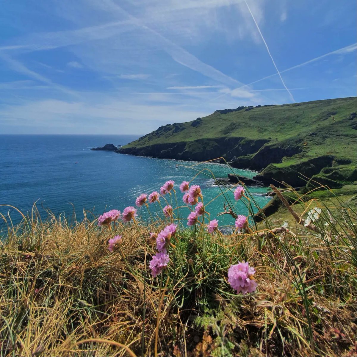 Coast&CountryCottages tweet media