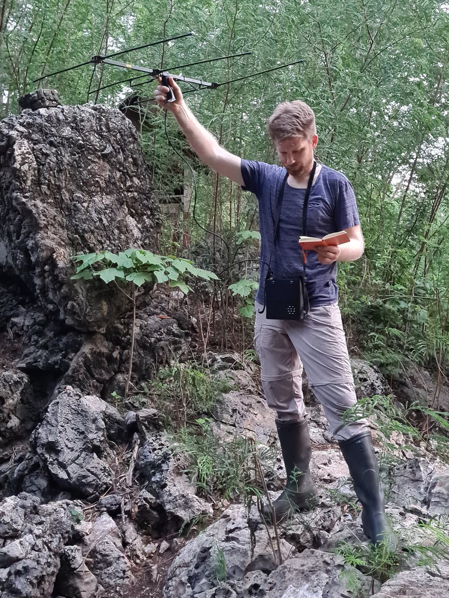 voigtbatlab's tweet photo. Having returned to our field site. #D_Lewanzik searching for bats carrying small radiotransmitters. We try to understand the spatial behavior of syntopic #bats. See thread https://t.co/OpHK6Vev93