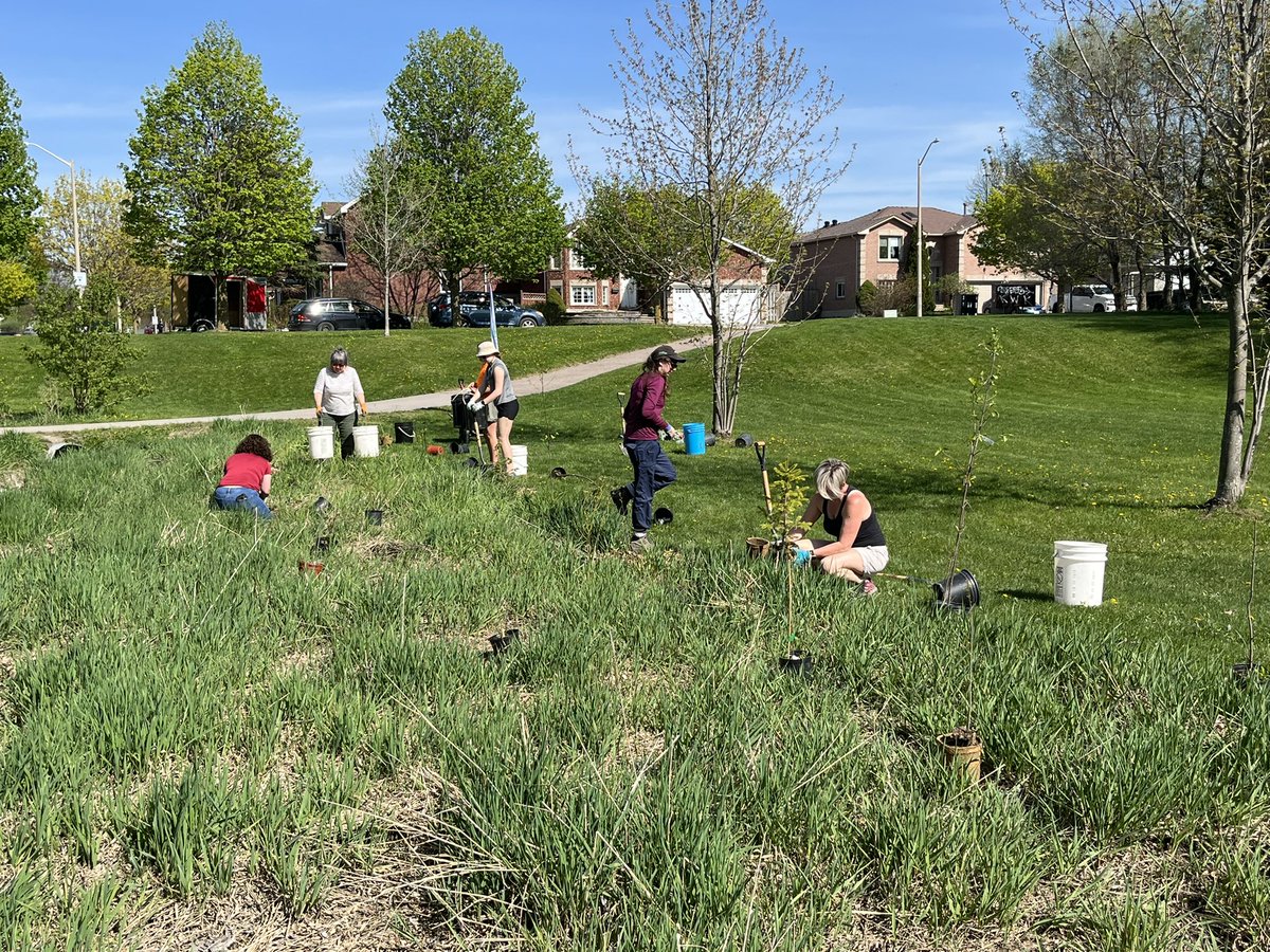 A beautiful afternoon with neighbours planting trees and shrubs at Eastview. Thanks to everyone who helped and thanks to Living Green for organizing!