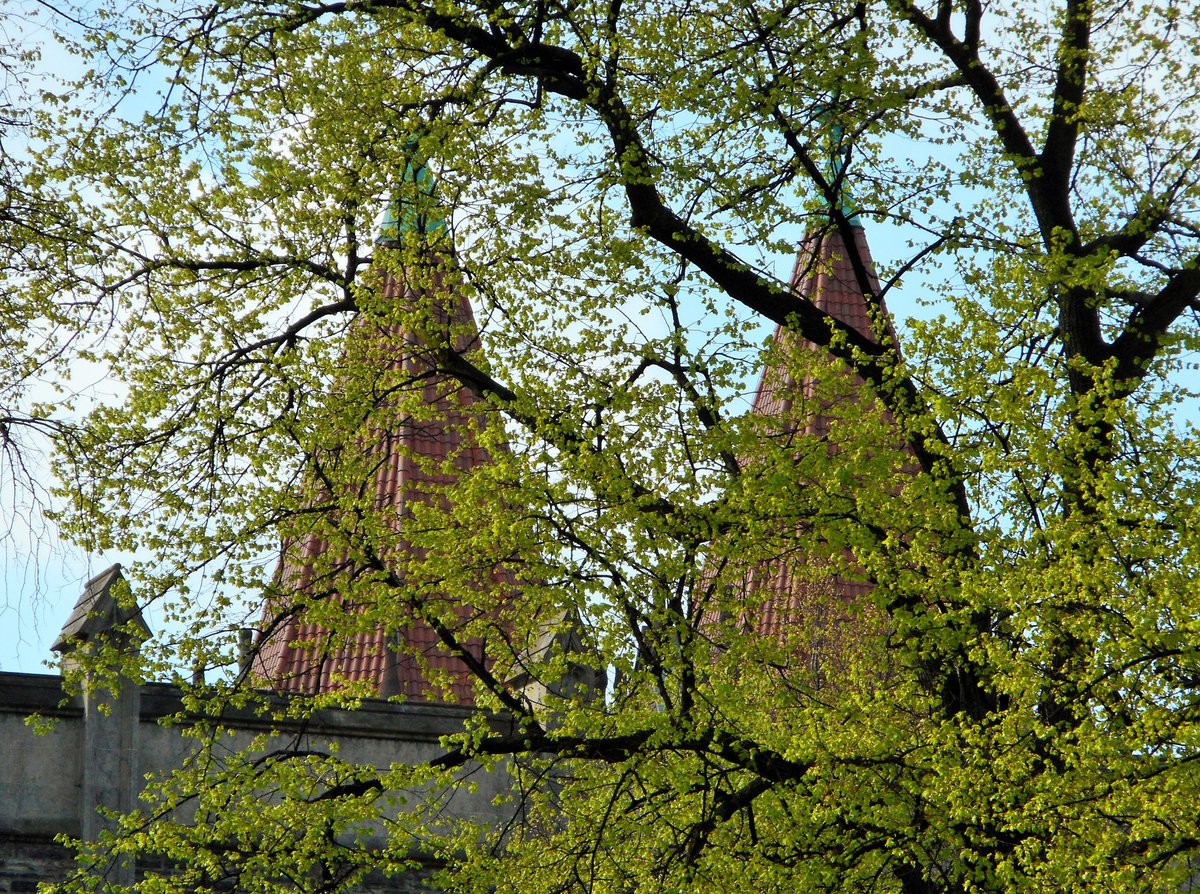 Victoria College <a href="/VicCollege_UofT/">Vic College UofT</a>, May 2018. Looking forward to seeing it again soon. Maybe next week?