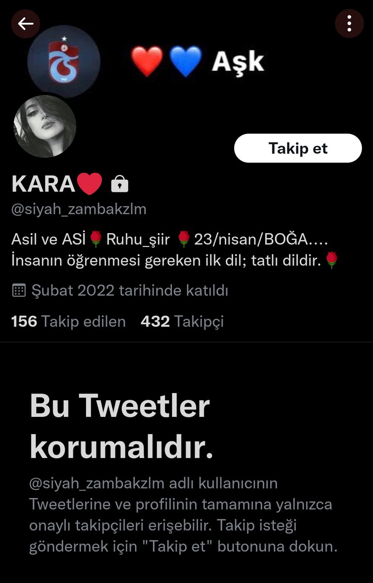 Bu iki şahıs ses odası açarak Bangtan hakkında ağır laflar konuşup. Grubumuz hakkında açıklama yapan ve savunan bizi ses odasından attılar. Yayın hesapları kapansın herkes rt atsın lütfen