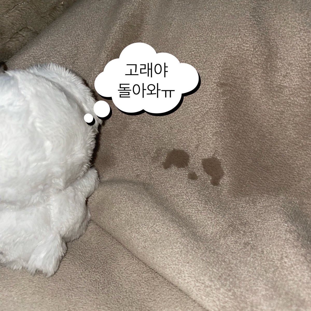JUSTLOVE_0514's tweet photo. 카페 마감하는 중에 말티댕 고래가방이 발견됐습니다ㅠ!! 
혹시 각 가정의 미녀기가 울고있진 않은지 살펴봐주세요!! https://t.co/pyefSE6cDP