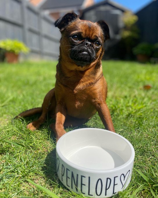 Daily dose of P x https://t.co/LEO5J2ibHU