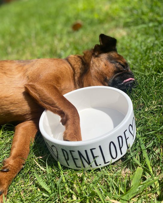 Daily dose of P x https://t.co/LEO5J2ibHU