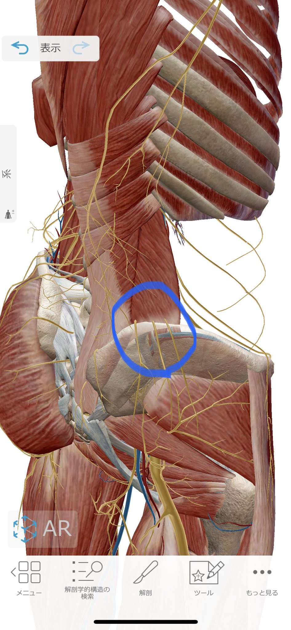調圧法】☆北村剛史先生☆第一弾DVD全3枚テキスト全ての不調を2点