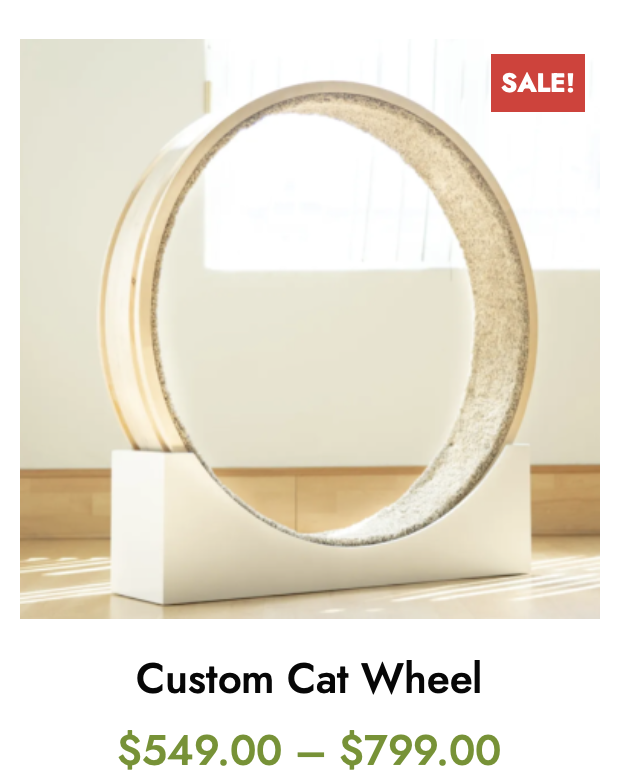 TranidyOfficial's tweet photo. who needs a customized cat wheel for furry friends?
#cats #cat #pet #catwheel #CatsOfTwitter https://t.co/ElGtKEFxi3