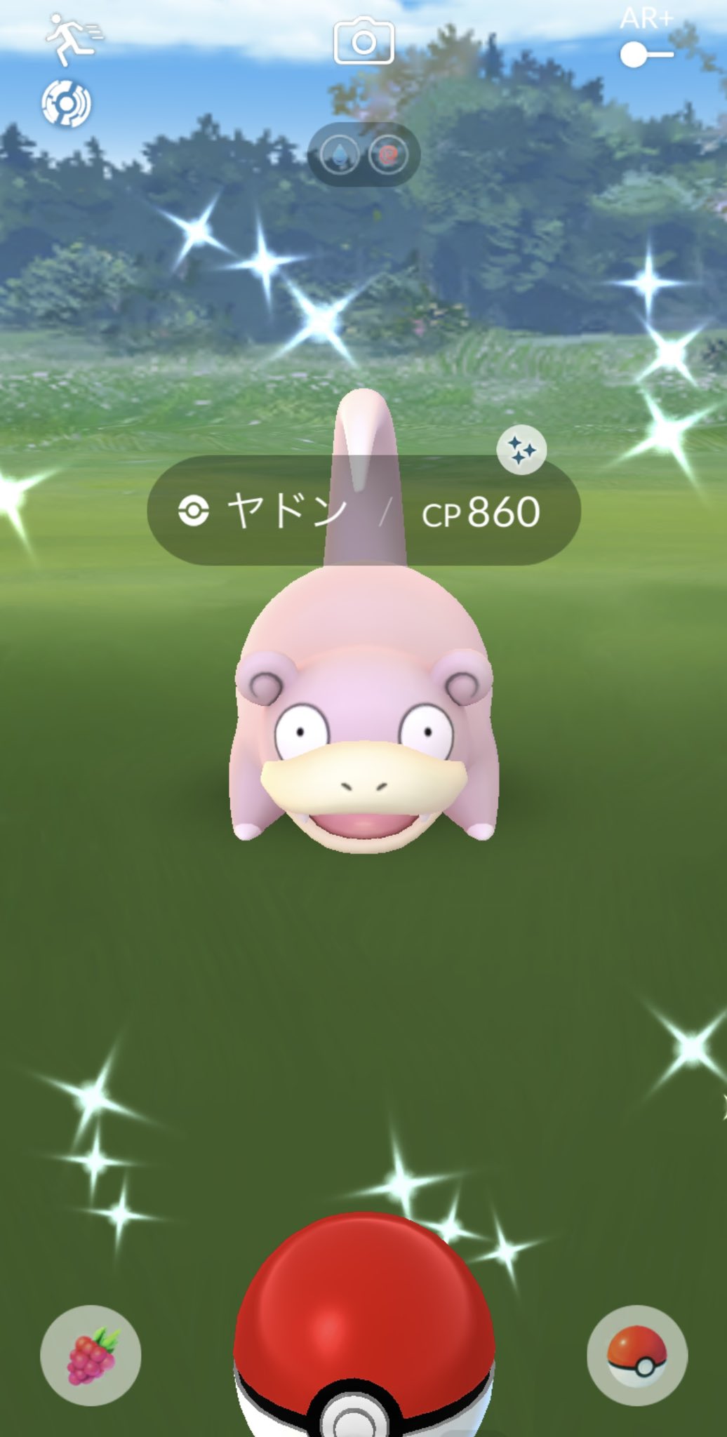 オタマロ色違い Twitter Search Twitter