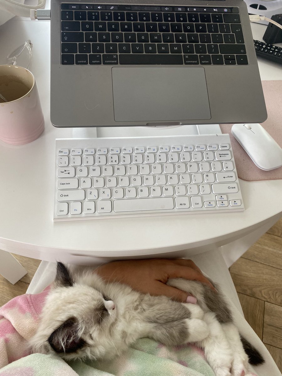 rach leary tweet media