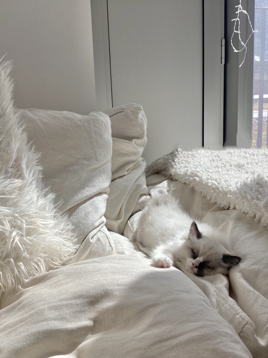 rach leary tweet media