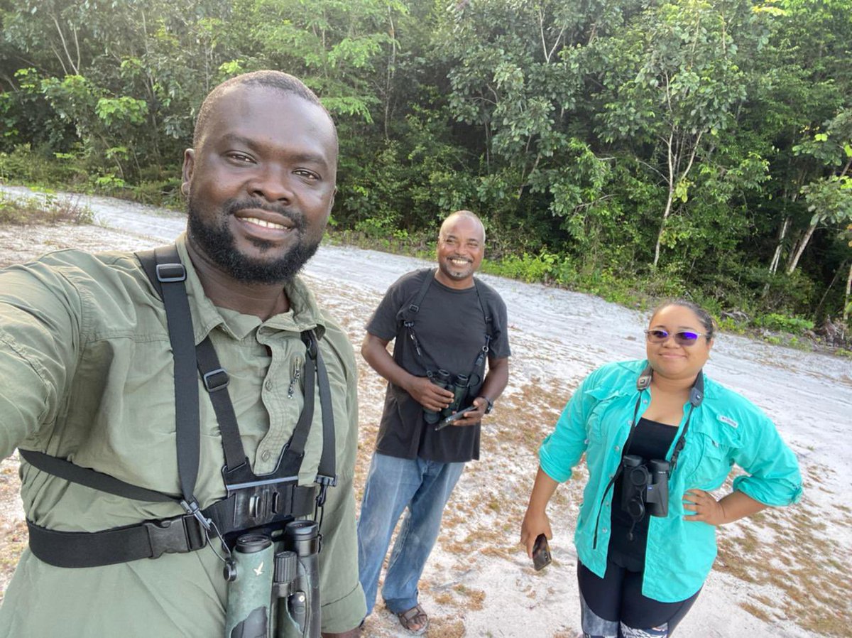 Global Birding (@global_birding) on Twitter photo HELLO GUYANA 🇬🇾
Global Big Day begins in some parts & ends in others 🌏🌎🌍
Leon & his great Team are sure to have a fantastic day!
How’s YOUR Global Big Day so far?
#birdsuniteourworld
Tag <a href="/global_birding/">Global Birding</a> to share YOUR day 😀
@SeabirdResearch <a href="/discoverguyana/">Discover Guyana</a>
<a href="/iNewsGuyana/">iNews Guyana</a> HELLO GUYANA 🇬🇾
Global Big Day begins in some parts & ends in others 🌏🌎🌍
Leon & his great Team are sure to have a fantastic day!
How’s YOUR Global Big Day so far?
#birdsuniteourworld
Tag <a href="/global_birding/">Global Birding</a> to share YOUR day 😀
@SeabirdResearch <a href="/discoverguyana/">Discover Guyana</a>
<a href="/iNewsGuyana/">iNews Guyana</a>
