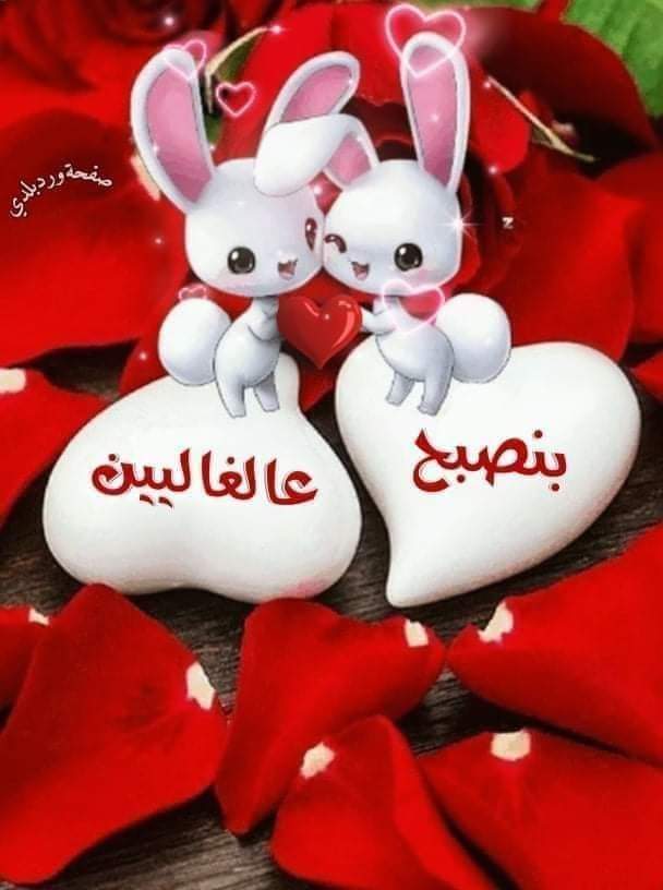 Mohamed Salaah (@mohamed60277119) on Twitter photo 