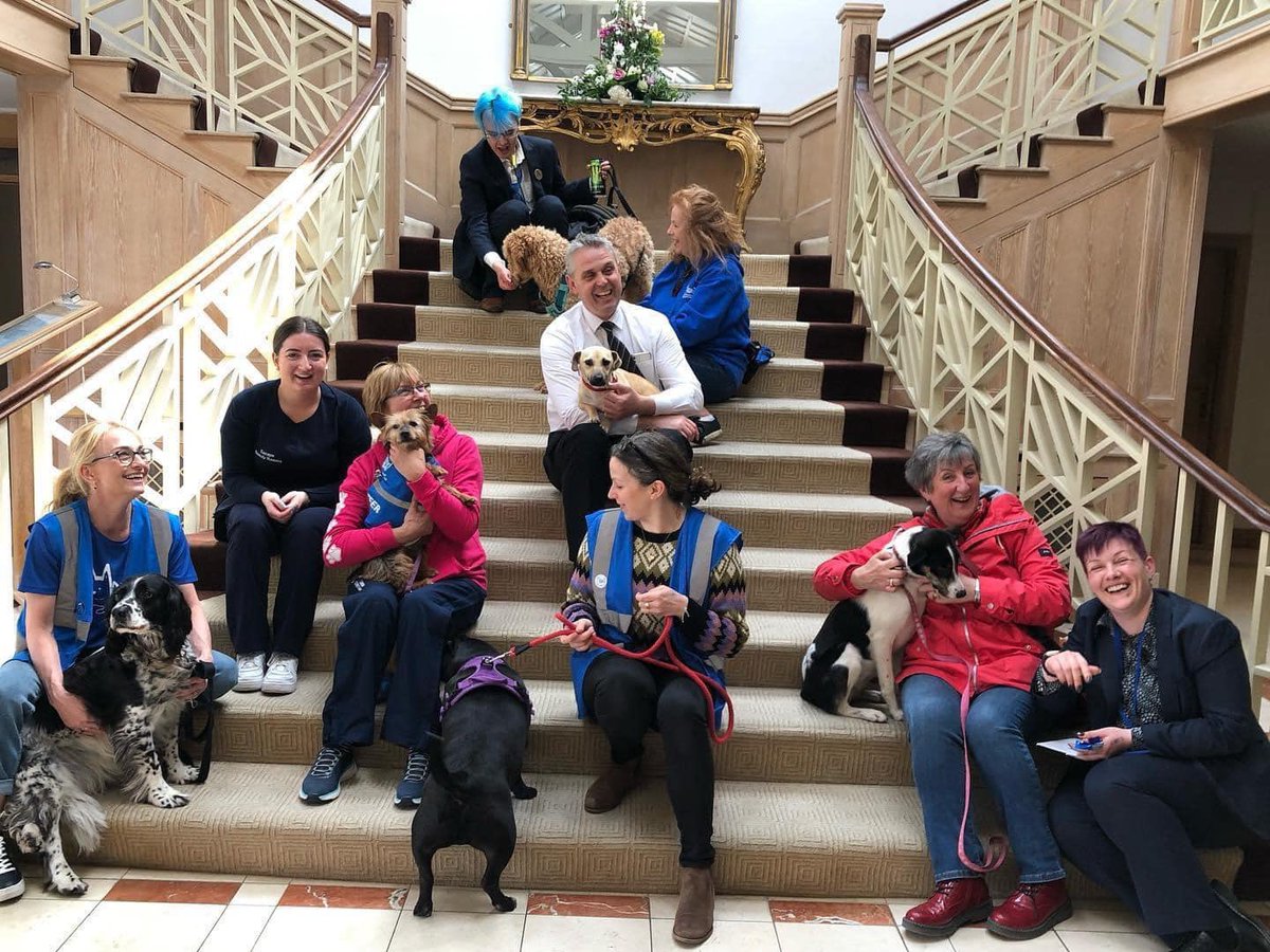 MADRA Mutts Anonymous Dog Rescue & Adoption (@madradogrescue) on Twitter photo Our thanks to the fantastic team <a href="/ConnemaraCoast_/">The Connemara Coast Hotel</a> for their invitation to visit this week 🐶👏
MADRA rescue dogs and volunteers thoroughly enjoyed their generous hospitality as part of #staffappreciationweek
#fundayout #daytrip #dogs #Connemara #MentalHealthAwareness Our thanks to the fantastic team <a href="/ConnemaraCoast_/">The Connemara Coast Hotel</a> for their invitation to visit this week 🐶👏
MADRA rescue dogs and volunteers thoroughly enjoyed their generous hospitality as part of #staffappreciationweek
#fundayout #daytrip #dogs #Connemara #MentalHealthAwareness