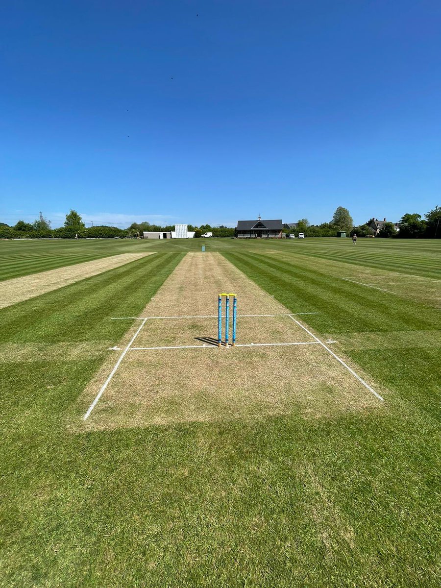 What a day for cricket 🏏!