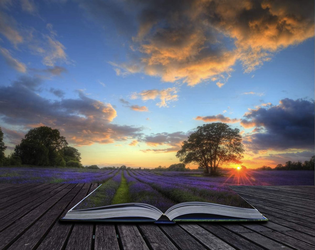 Linda L. Richards tweet media