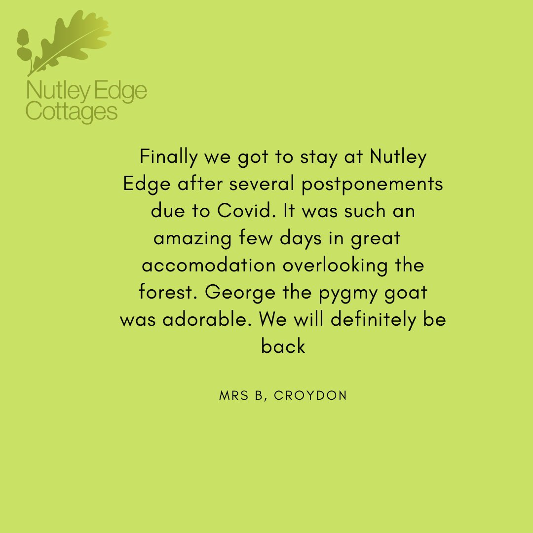 Nutley Edge tweet media