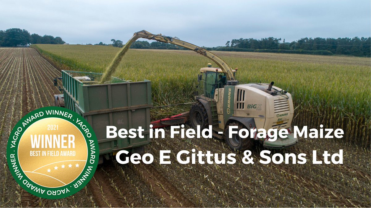 yagroltd's tweet photo. Congratulations to @stevenbrummitt and Geo E Gittus &amp; Sons Ltd for being Best in Field Forage Maize 2021. Steven and the team growing Legolas, Metronom &amp; Autens with a cost of production of £8.18/t. Stellar performance from the whole team. Article here: https://t.co/xcFB5gbZmK https://t.co/p5g3XFVlnw