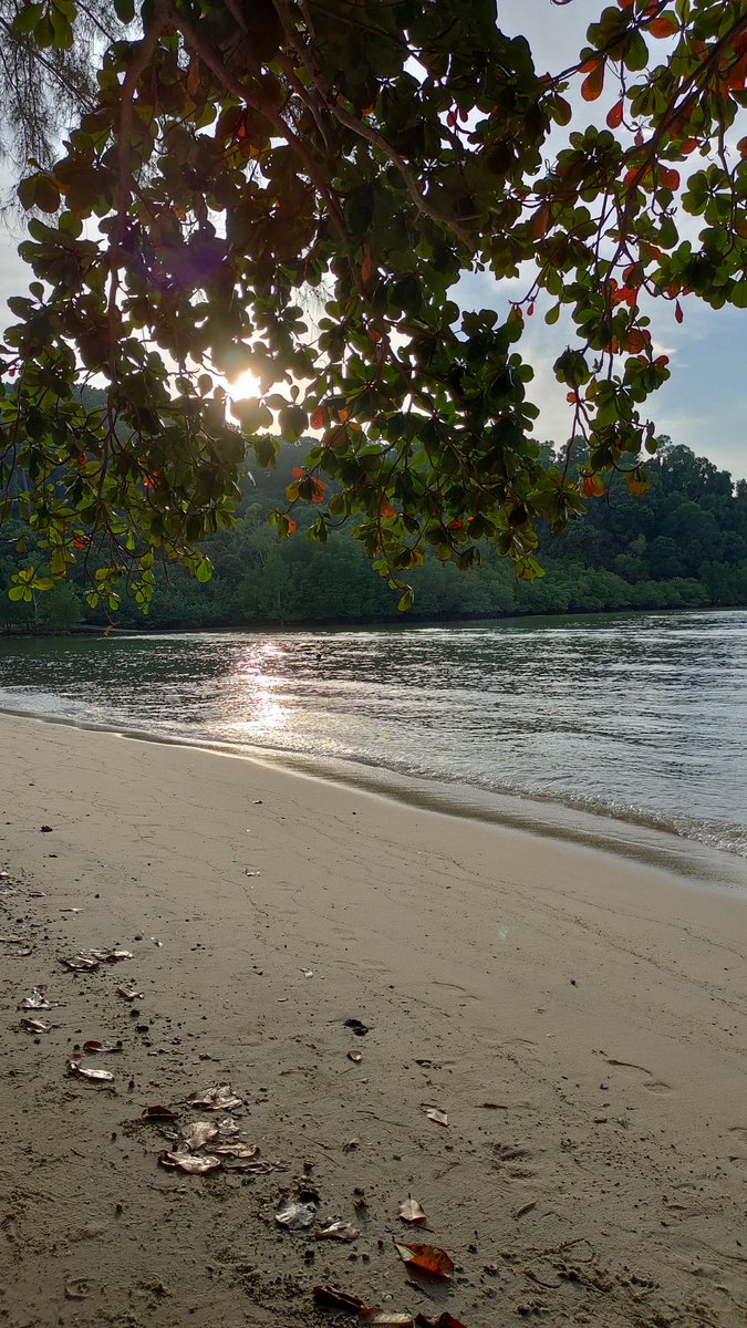 eddlynaa's tweet photo. Ruang 
Terkadang, setiap orang pasti memerlukan ruang untuk menyendiri.
Baik kecil atau besar, bukanlah saiz ruang yang menjadi ukuran. Kerana, ruang yang dimaksudkan adalah ruang privasi untuk seseorang mencari ketenangan tanpa sesiapa yang menemani. https://t.co/9GH9C7Dbwh