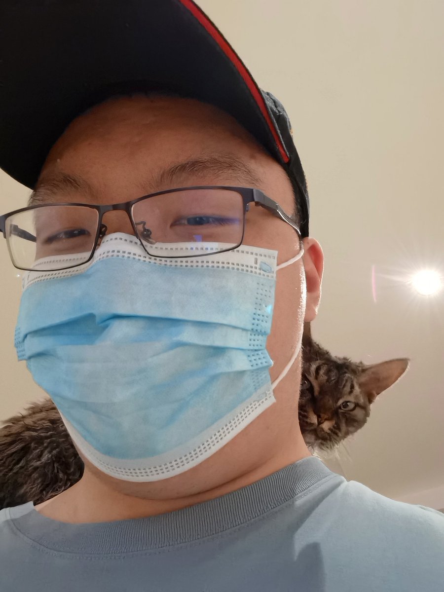 喜欢趴人脖子上的猫猫，角度找了好久，等疫情结束再去猫咖找它吧