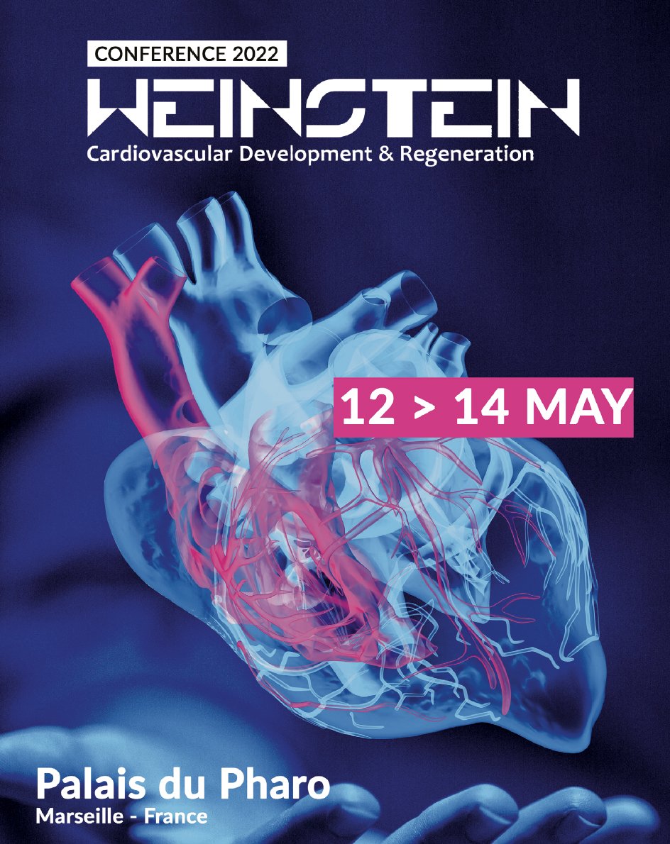 Grateful to attend #Weinstein2022 and learn @ #HeartDev. A conference with a tradition of selecting most of the talks are selected from abstracts by stude nts, postdocs and new PIs. More of this, please.
