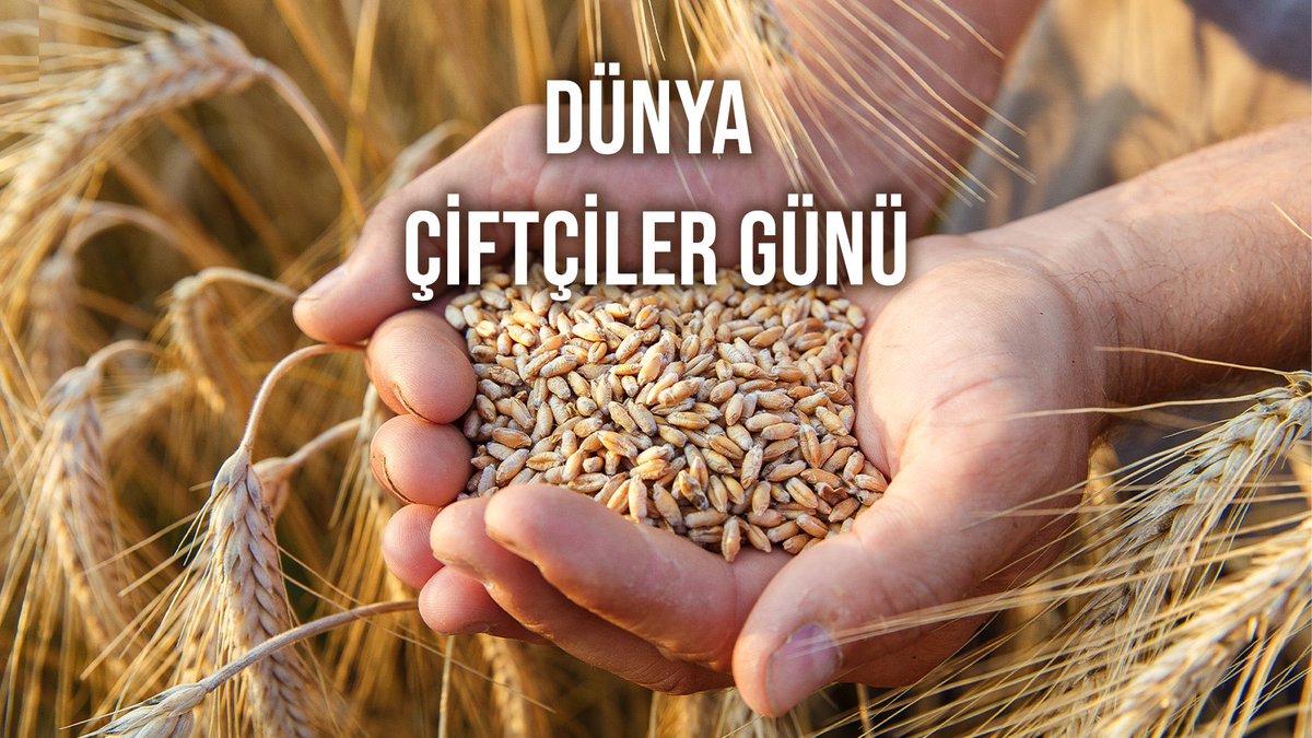 ve_orman's tweet photo. "Milletimiz çiftçidir. Milletin çiftçilikteki çalışma imkanlarını, asri ve iktisadi tedbirlerle en yüksek seviyeye çıkarmalıyız." M.Kemal ATATÜRK

Emekleriyle toprağı yoğuran çiftçilerimizin Dünya Çiftçiler Günü kutlu olsun.
#dünyaçiftçilergünükutluolsun https://t.co/jnowW8tajj