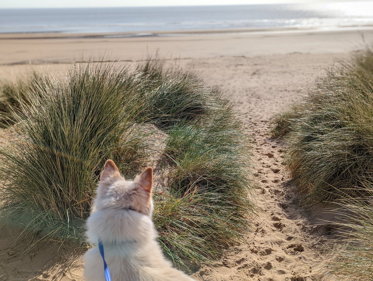 EmilyGunnell's tweet image. Praise God for beaches 🙌🏻☀️