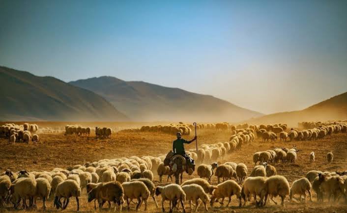 "Milletimiz çiftçidir. Milletin çiftçilikteki çalışma imkanlarını, asri ve iktisadi tedbirlerle en yüksek seviyeye çıkarmalıyız." M.Kemal ATATÜRK

Emekleriyle toprağı yoğuran çiftçilerimizin Dünya Çiftçiler Günü kutlu olsun.
#dünyaçiftçilergünükutluolsun