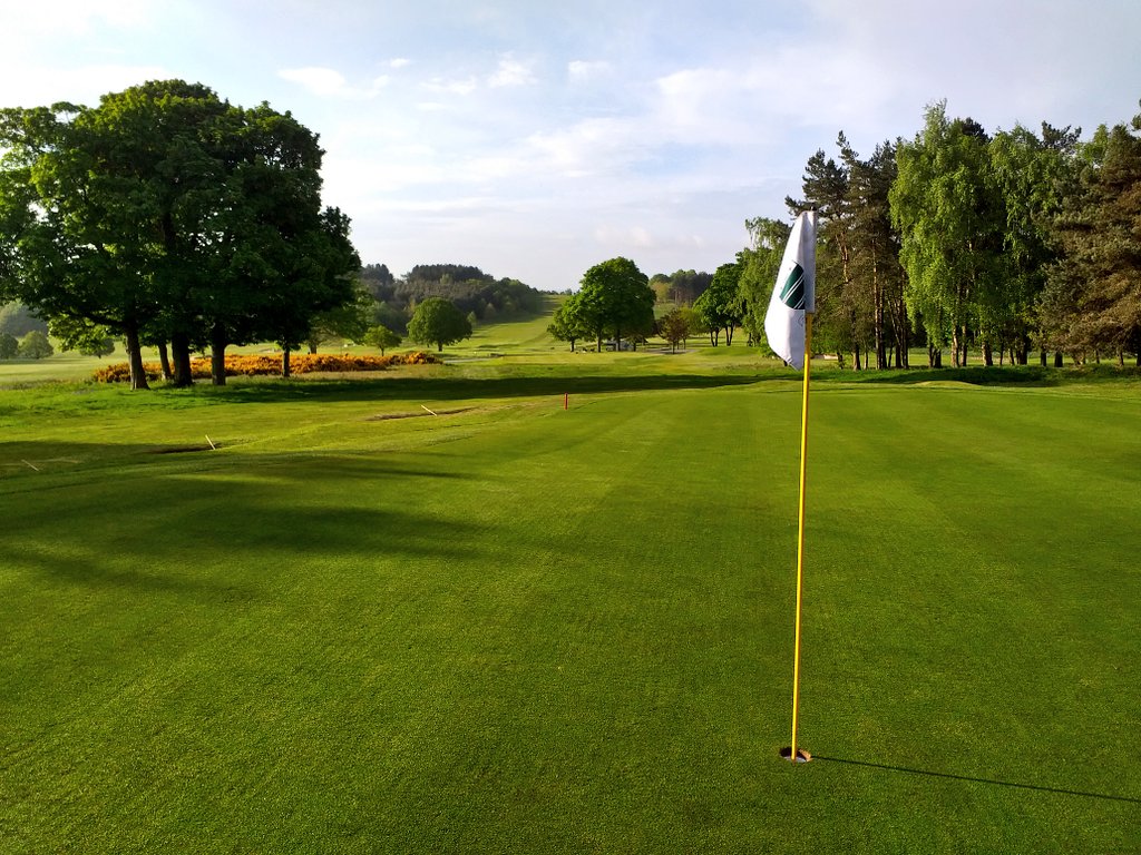 HuddersfieldGC Green tweet media