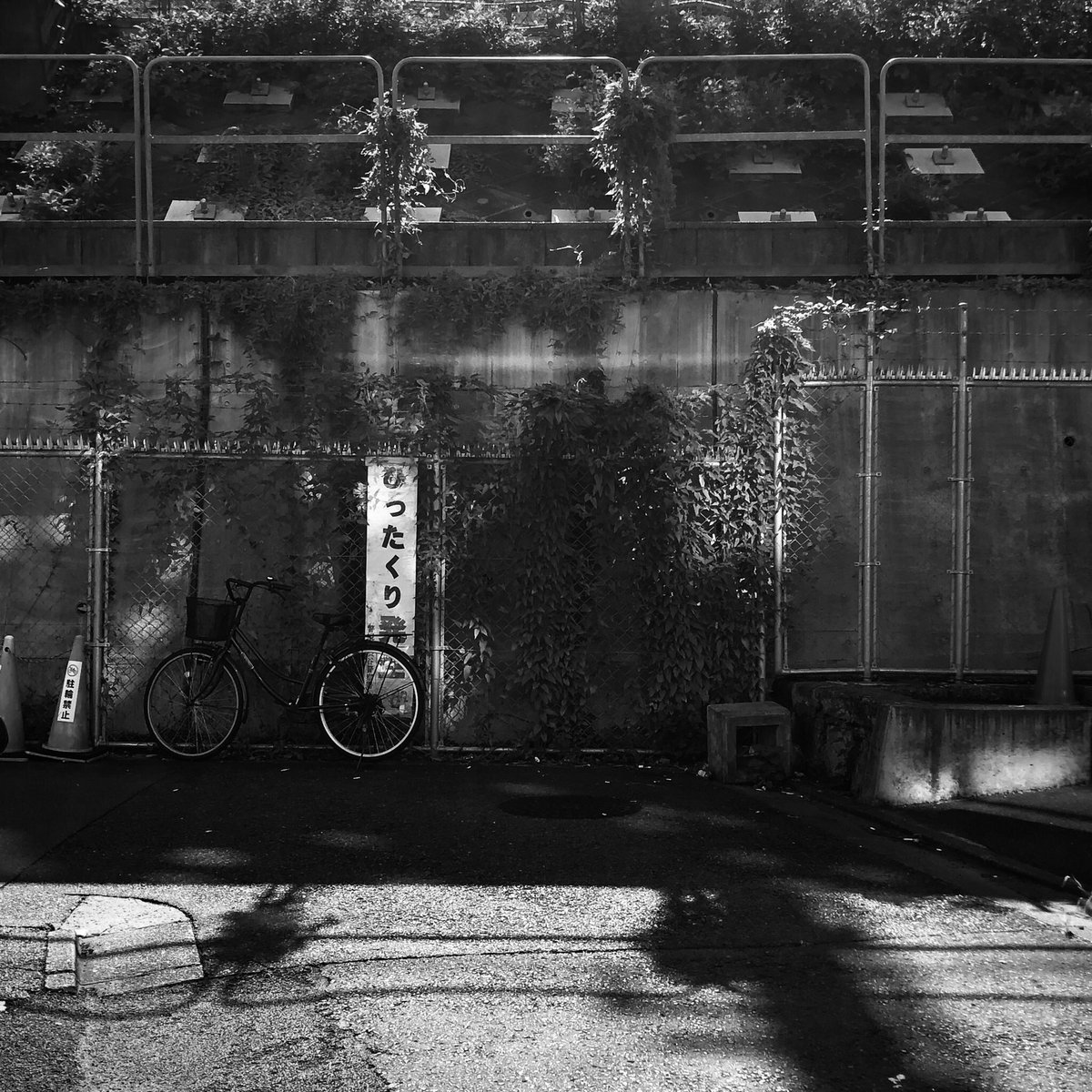 結構前に撮った写真 